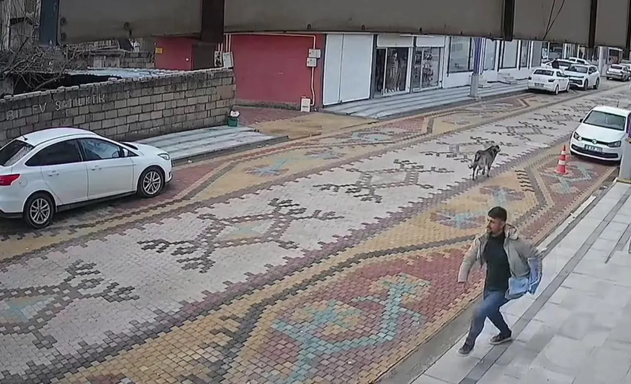 Esnaf çığlıklarına koştu, küçük çocuk son anda kurtuldu! Dehşet anı kamerada