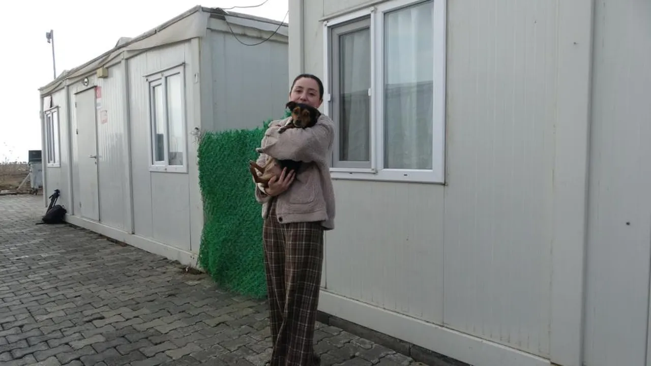 'Anasının tatlısı, anasının ballısı' diye sevilmesi gündem olmuştu! Türkiye, Boncuk'u konuşuyor