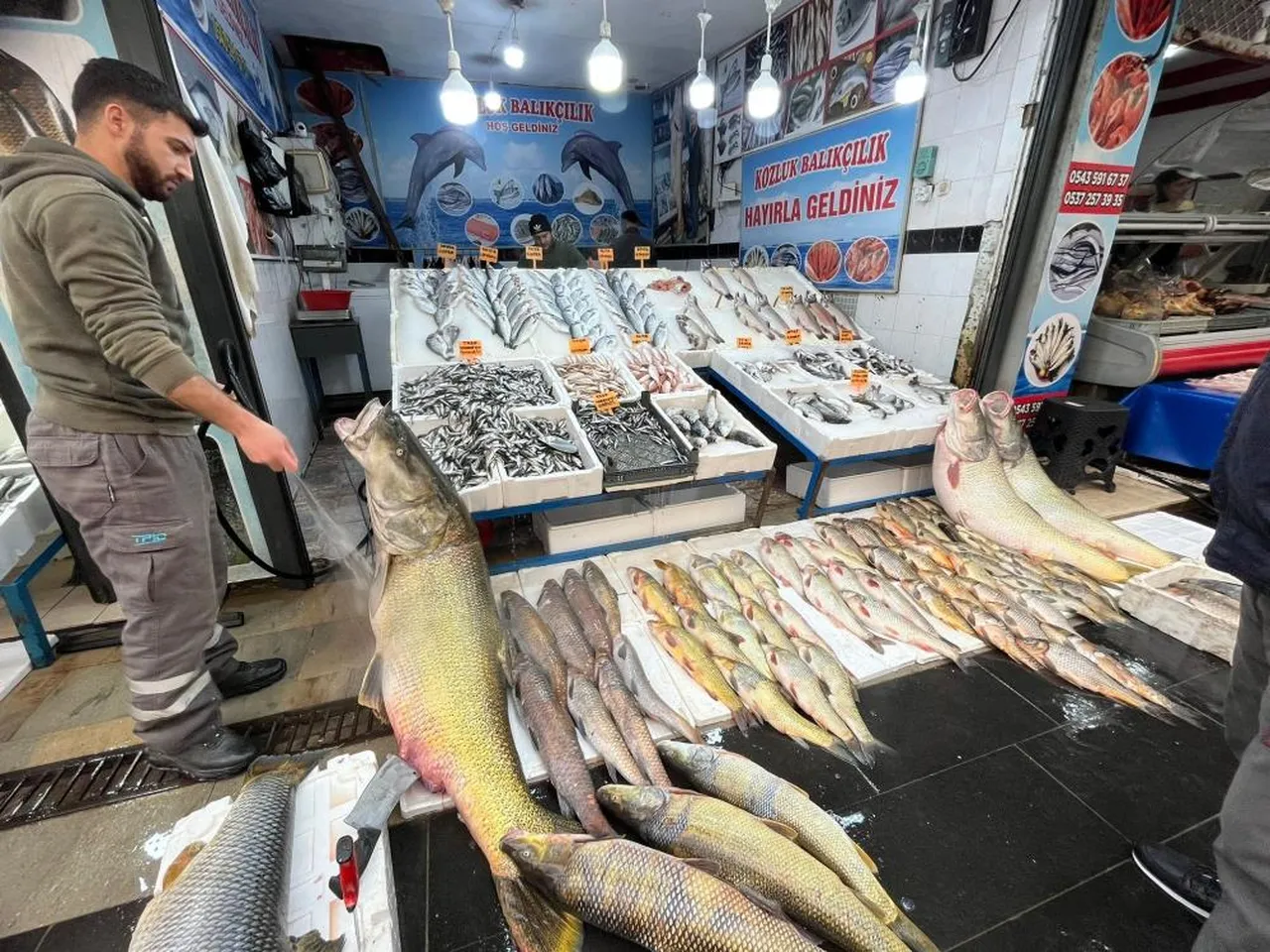 Barajdan dev turna yakaladı, kilosunu 500 liradan satışa çıkardı