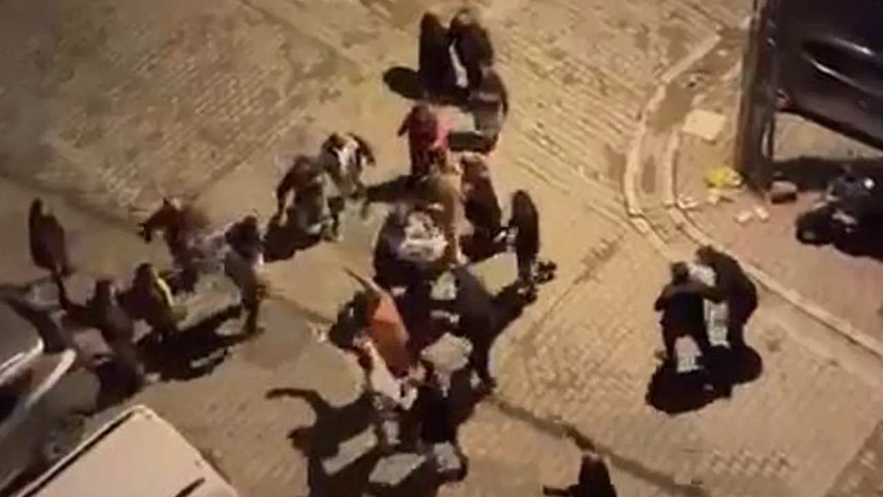 Esenyurt'ta gürültü kavgasında ortalık karıştı! Ev basıp hamile kadını dövdüler
