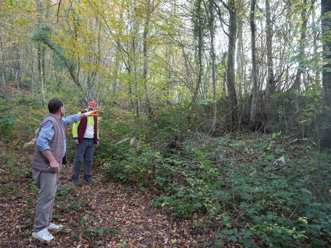 Kastamonu'da gizemli yer altı şehri! Defineciler tarihe acımadı... Her yeri talan ettiler