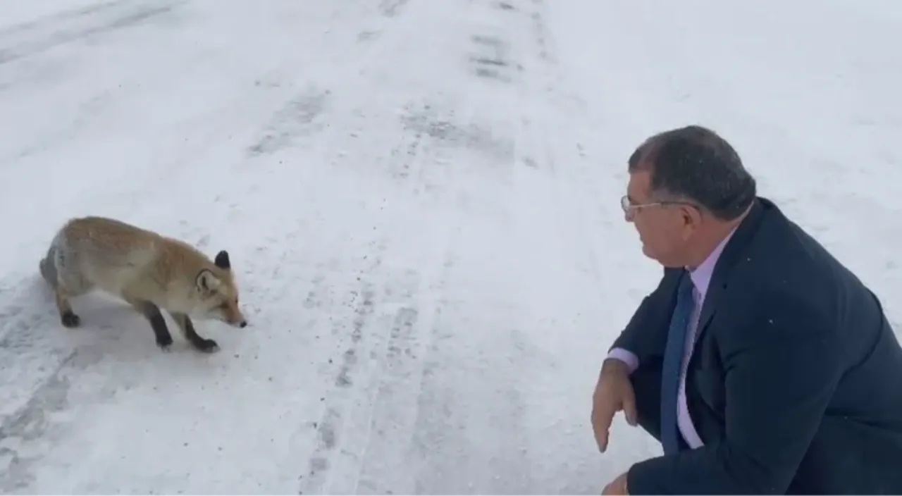 Sahara Geçidi'nde sıcak dostluk! Belediye Başkanı karda karşılaştığı tilkiyi besledi