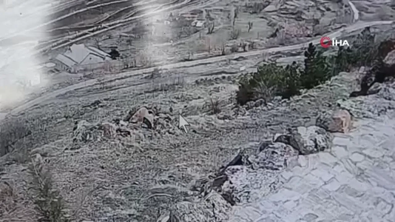 Her yerde aranıyordu! Sümeyye Satılmış'tan acı haber