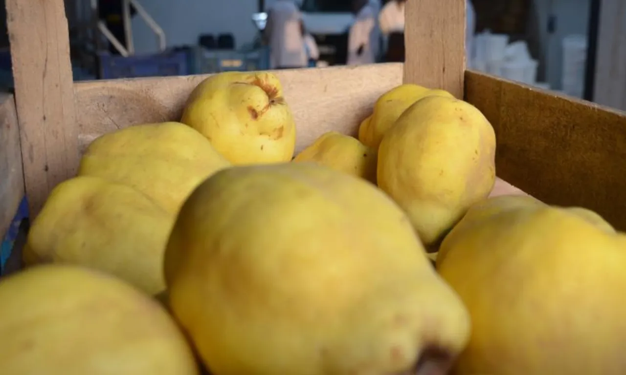 100 paketle başladı, günde 10 bine ulaştı! Talep yağıyor: Katar ve ABD’ye de sevk ediliyor