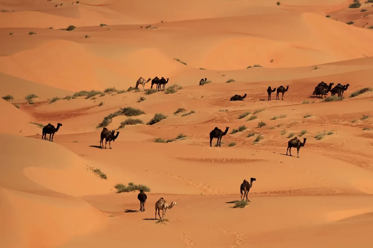 Develere yeşil pasaport geliyor!  2,2 milyon hayvan kayıt altına alınacak