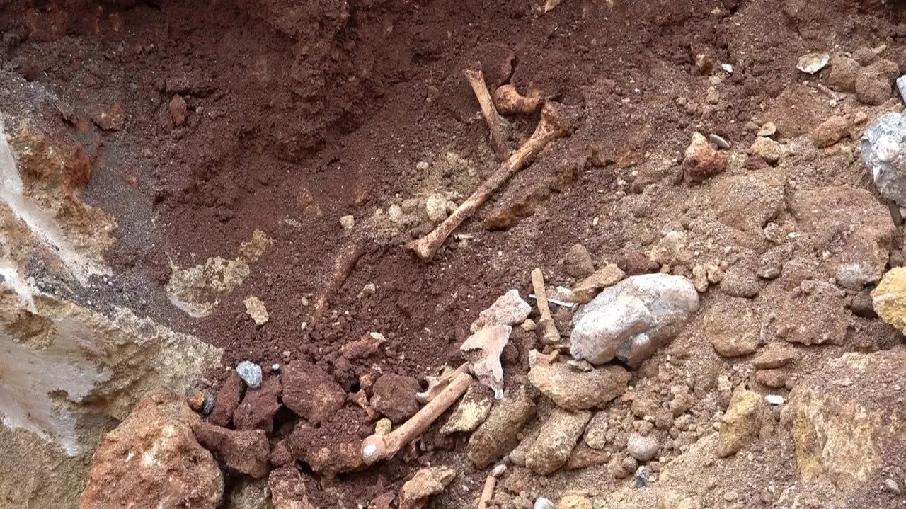 Görür görmez kazıyı bıraktılar! Tüyler ürperten olay