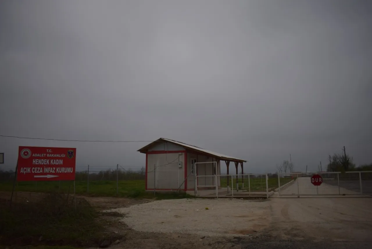 Sakarya'da cezaevinde yangın! CTE'den mahkumların durumuna ilişkin açıklama
