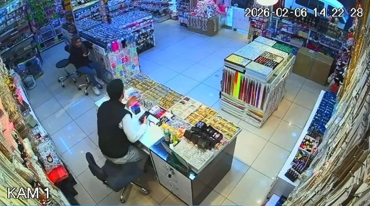 “Fay kıra kıra gidecek” demişti! Naci Görür’den Erzincan depremi sonrası bir uyarı daha