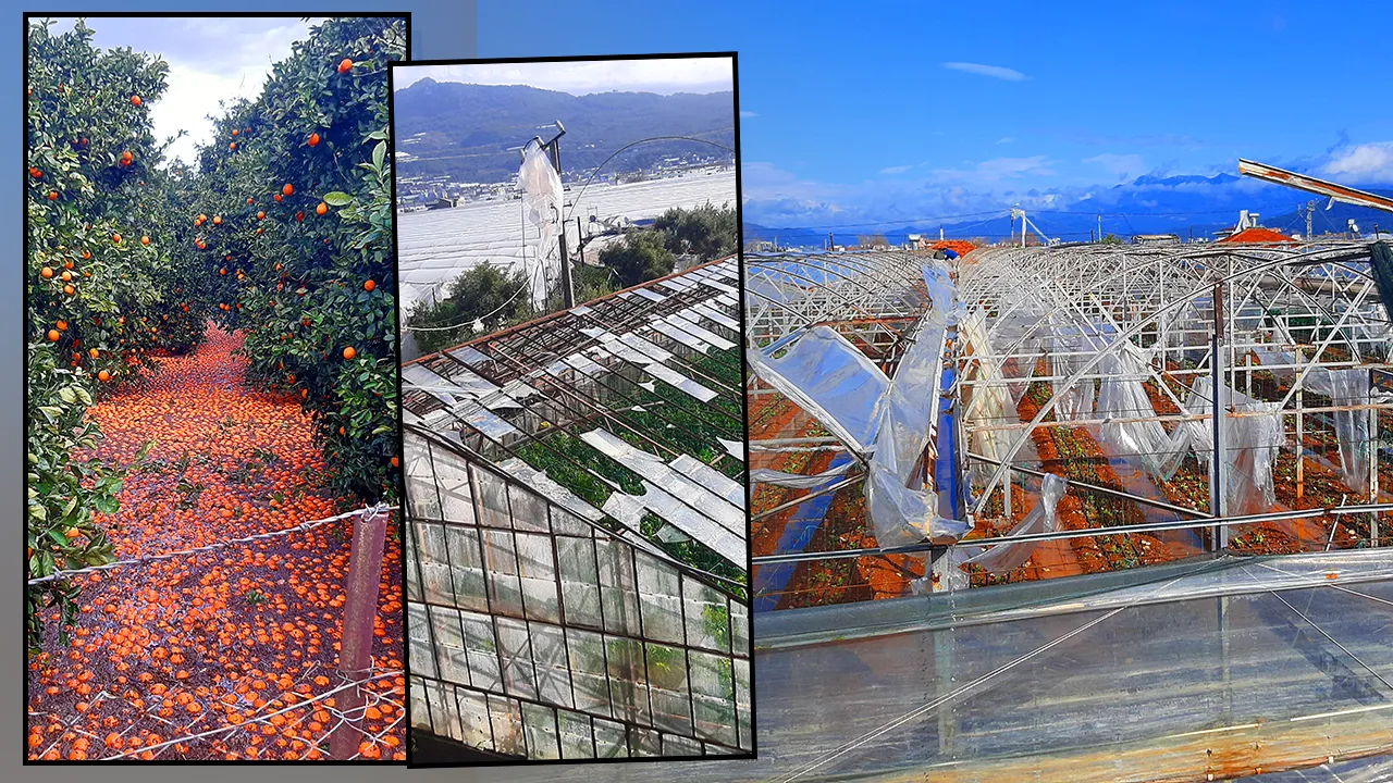 Meteoroloji uyarmıştı! Antalya’da hortum seraları talan etti 