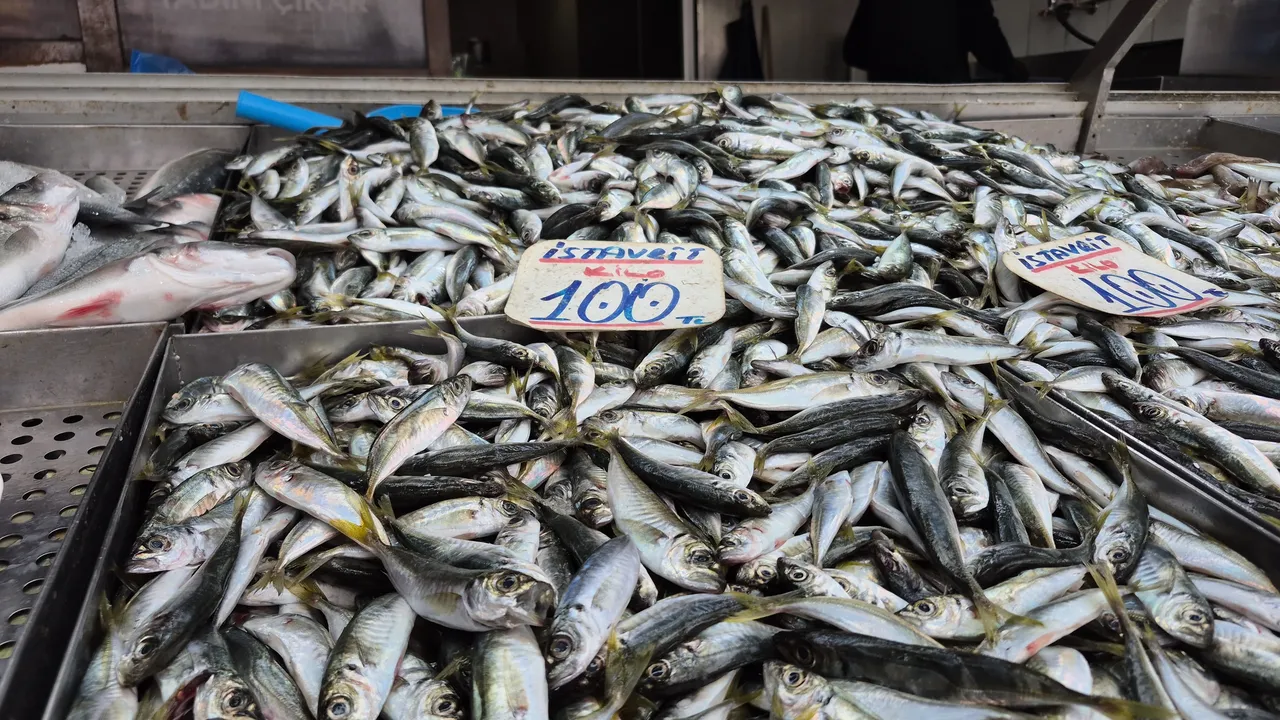 Hamsinin tahtını aldı! Tezgahların en ucuz balığı: Kilosu 100 lira