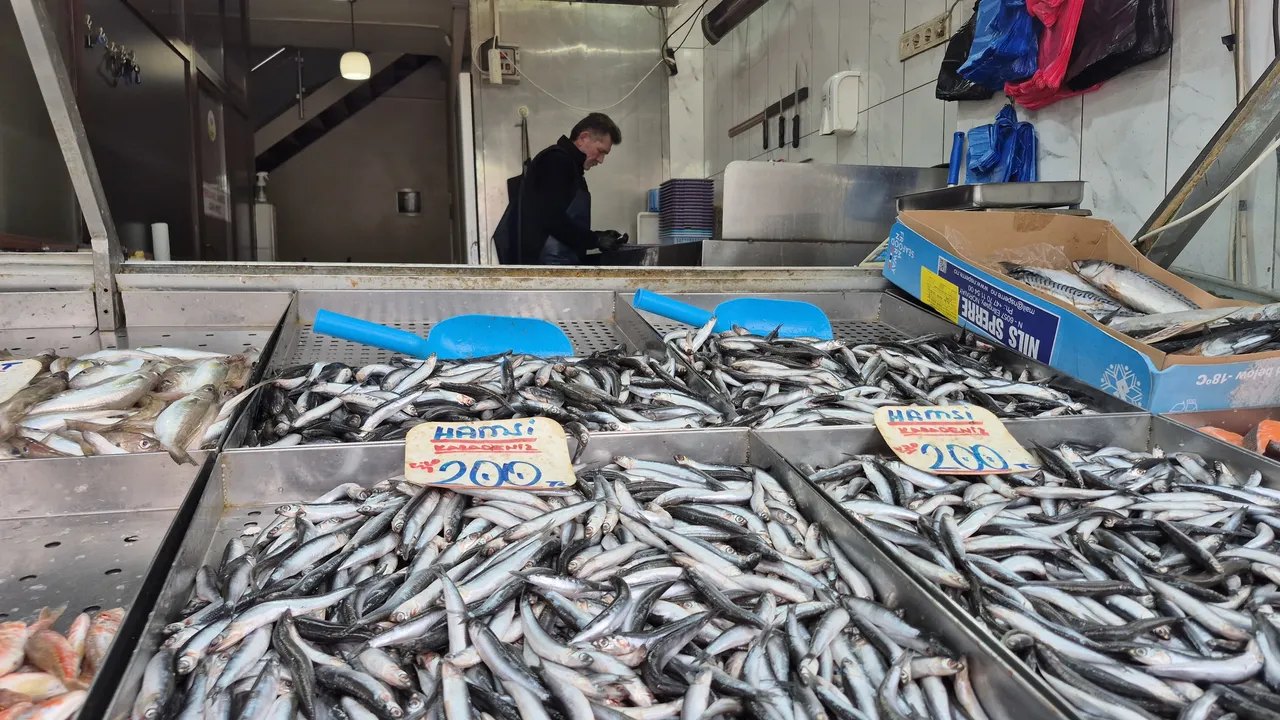 Hamsinin tahtını aldı! Tezgahların en ucuz balığı: Kilosu 100 lira