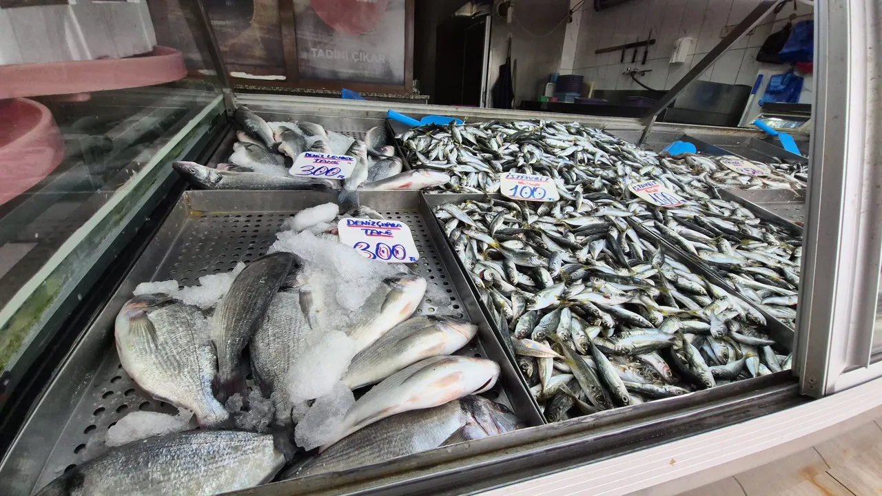 Hamsinin tahtını aldı! Tezgahların en ucuz balığı: Kilosu 100 lira