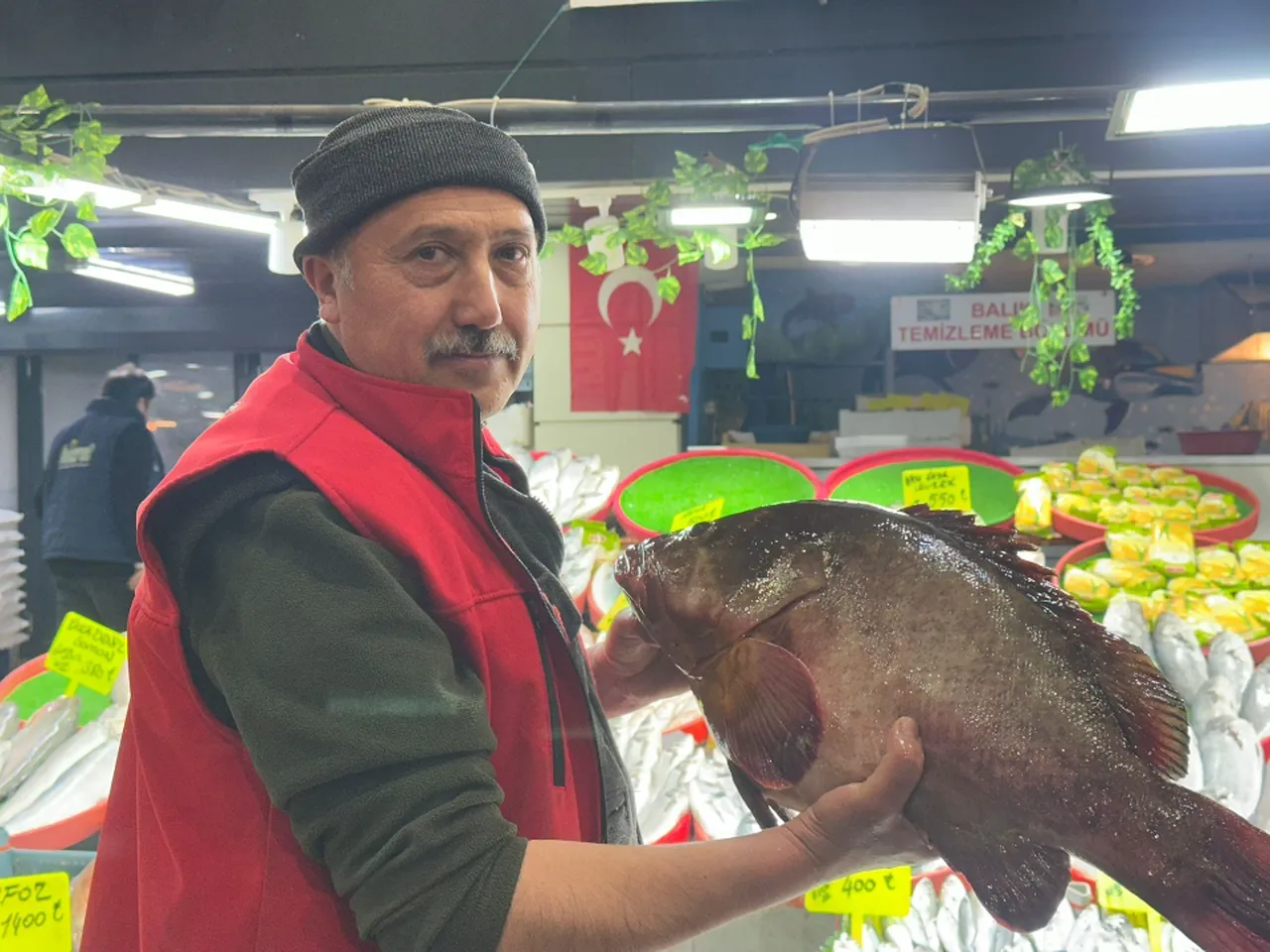 Nadir çıkan balık Sivas'ta tezgahlarda! Çeyrek altın karşılığında satılıyor