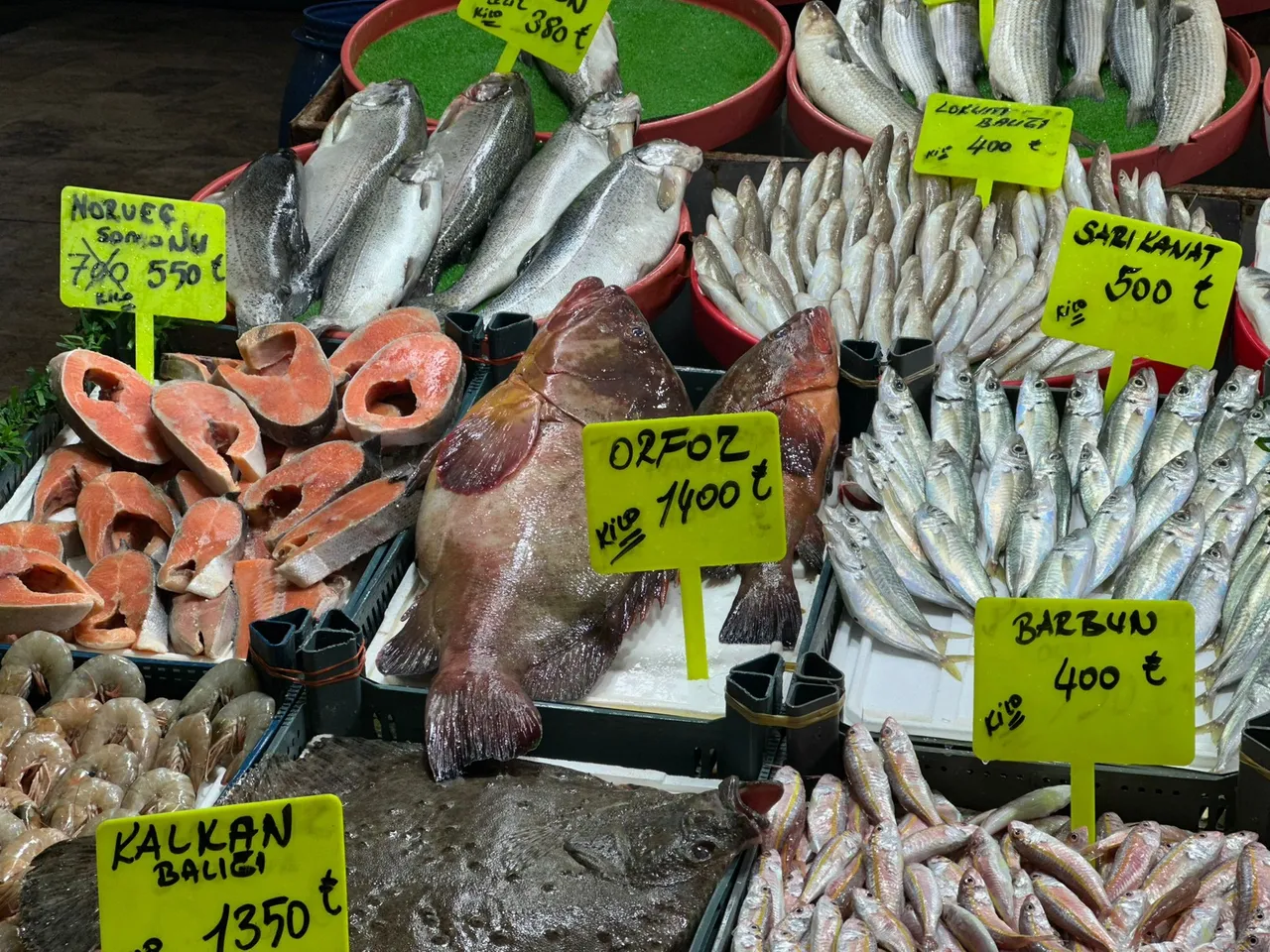 Nadir çıkan balık Sivasta tezgahlarda! Çeyrek altın karşılığında satılıyor