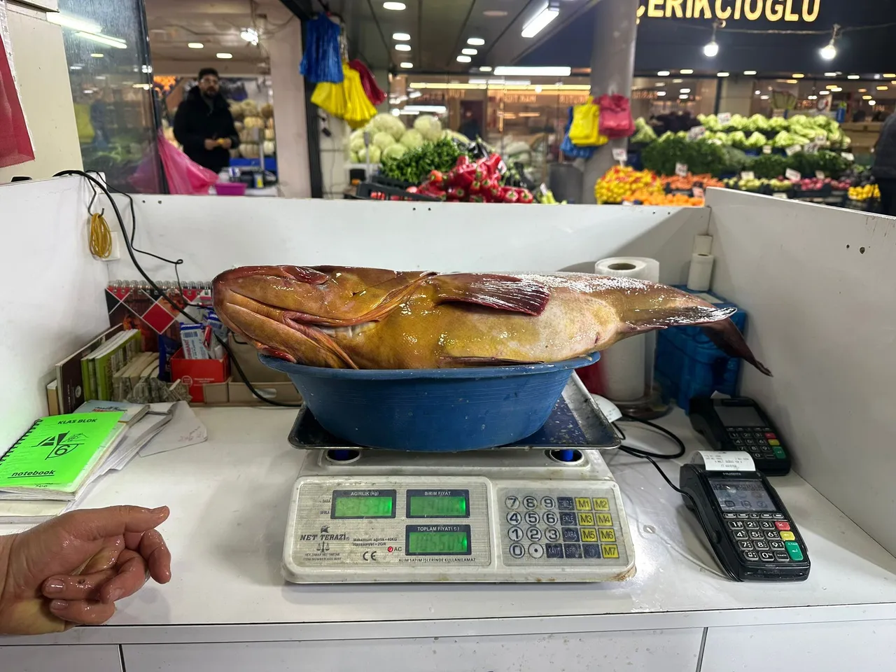 Nadir çıkan balık Sivasta tezgahlarda! Çeyrek altın karşılığında satılıyor