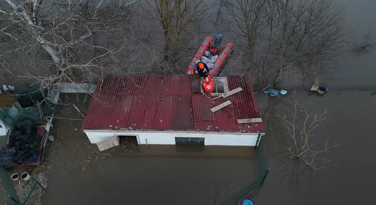 Edirne sular altında! Meriç taştı, can pazarı yaşandı