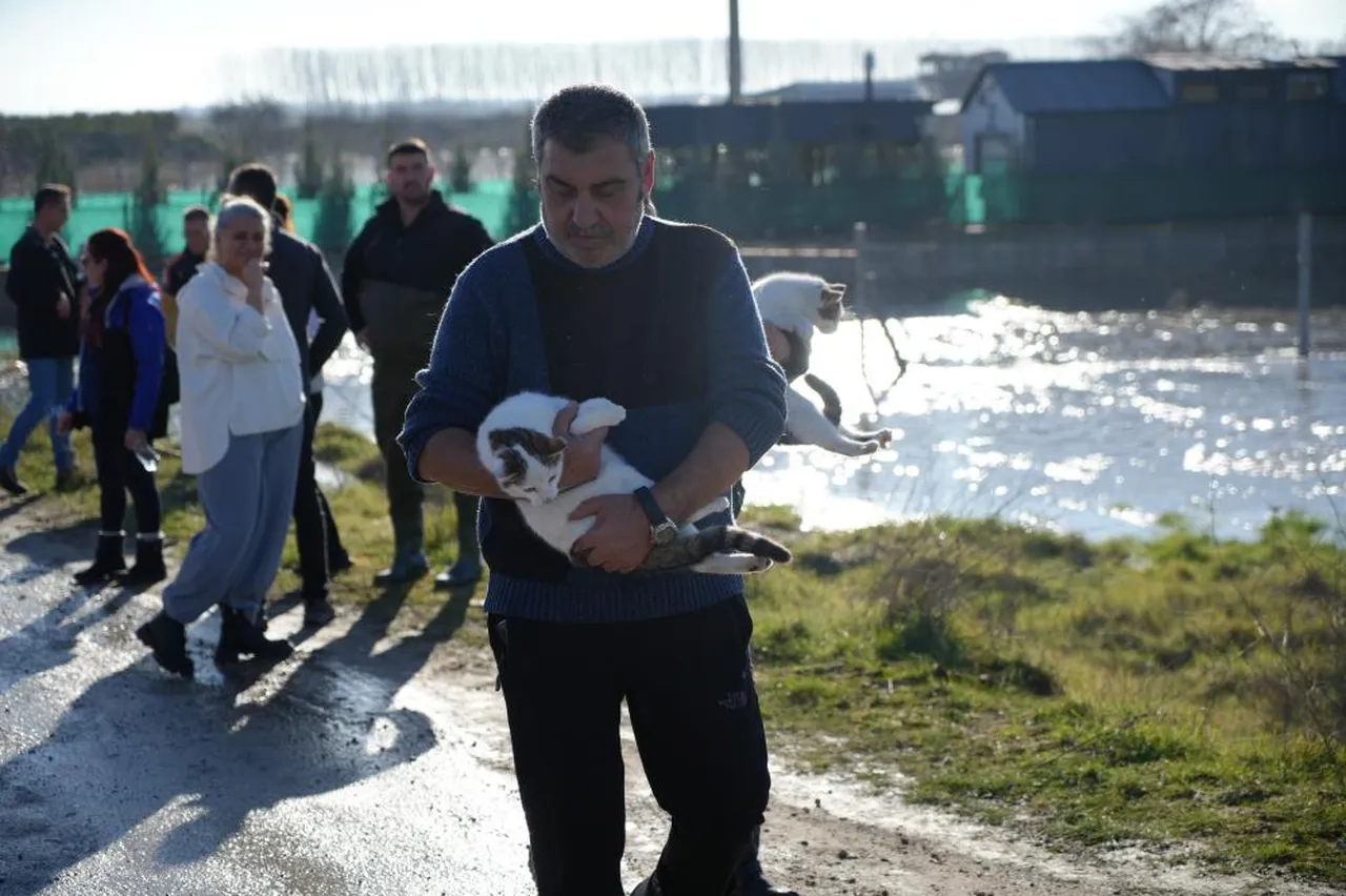 Edirne sular altında! Meriç taştı, can pazarı yaşandı