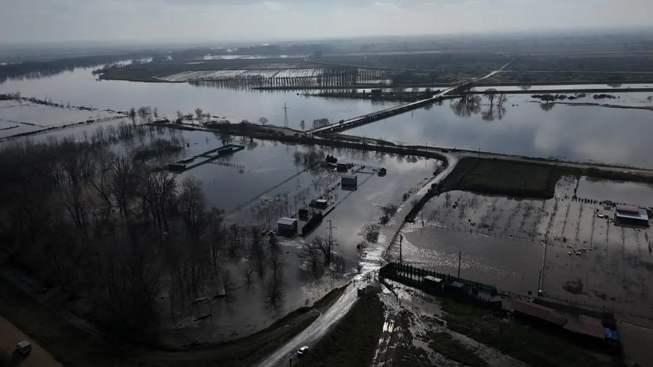 Edirne sular altında! Meriç taştı, can pazarı yaşandı