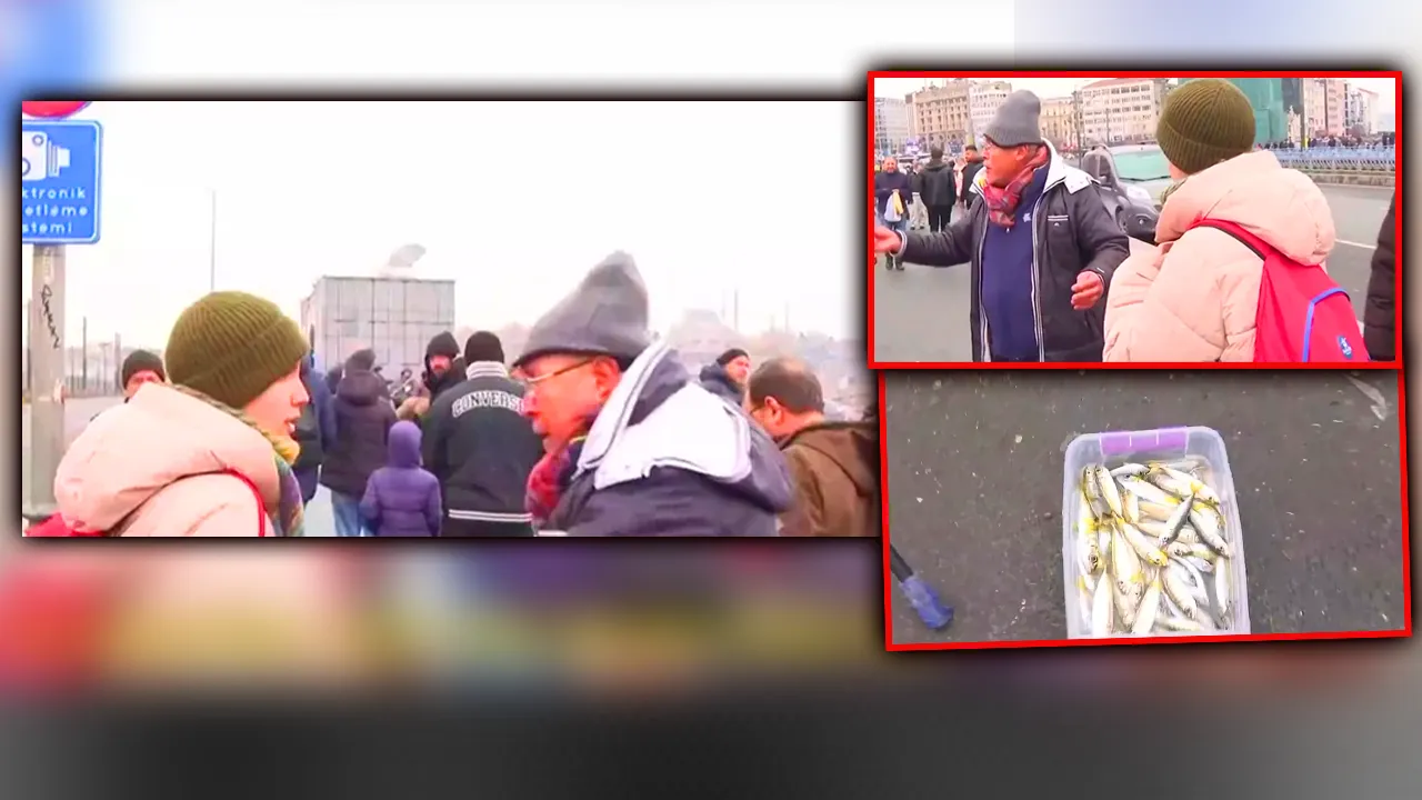 Galata’da şoke eden olay! ‘Veganım’ dedi, bir kova balığı denize döktü 