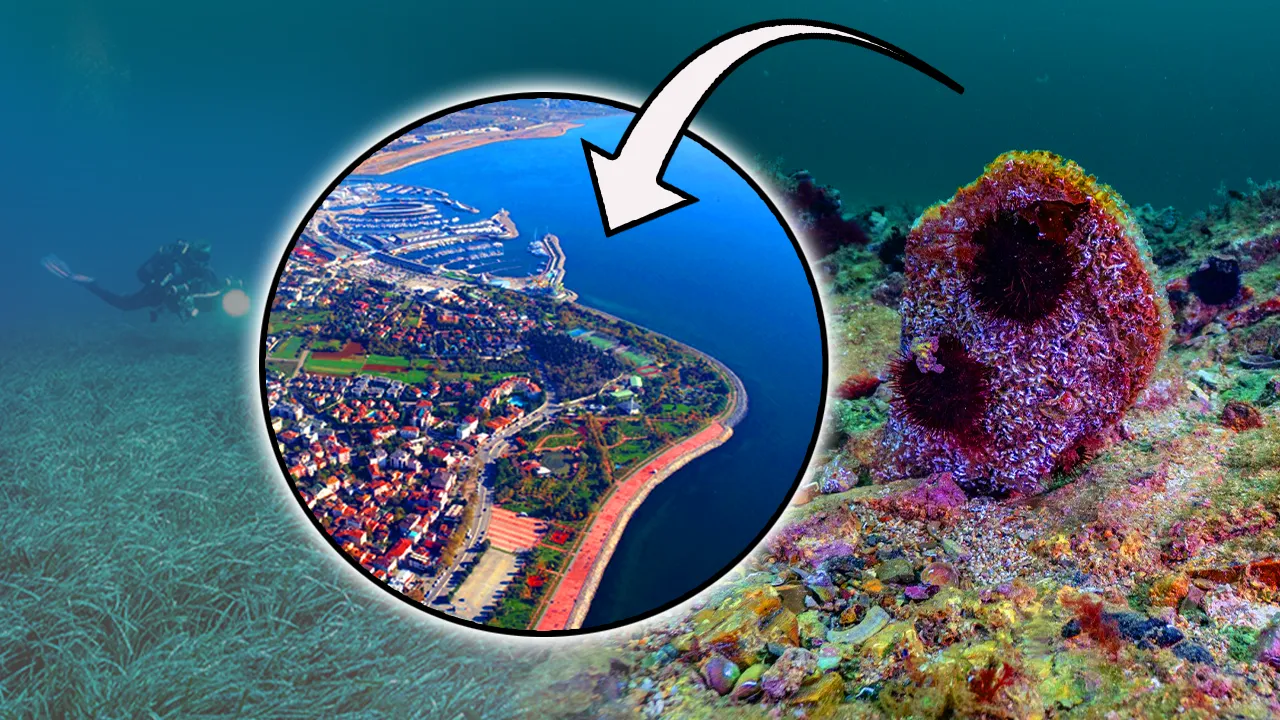 MARMARA’DA GÖRÜLDÜ!