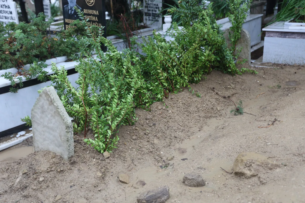 Oğlu, eski belediye başkanı Cafer Özenir’i baltayla öldürmüştü! Tutuklandı