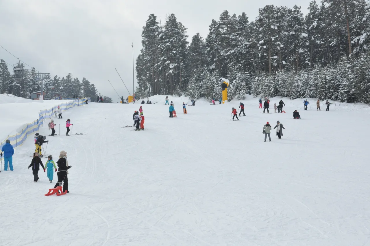 Sarıkamış Kayak Merkezi’nde hafta sonu yoğunluğu: Kayak severler pistlere akın etti