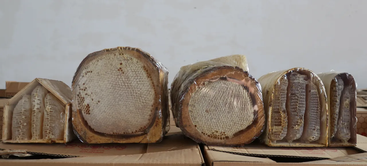 Sivas’tan dünyaya bal ihracatı! Yıllık 4 bin ton petek ve süzme bal gönderiliyor