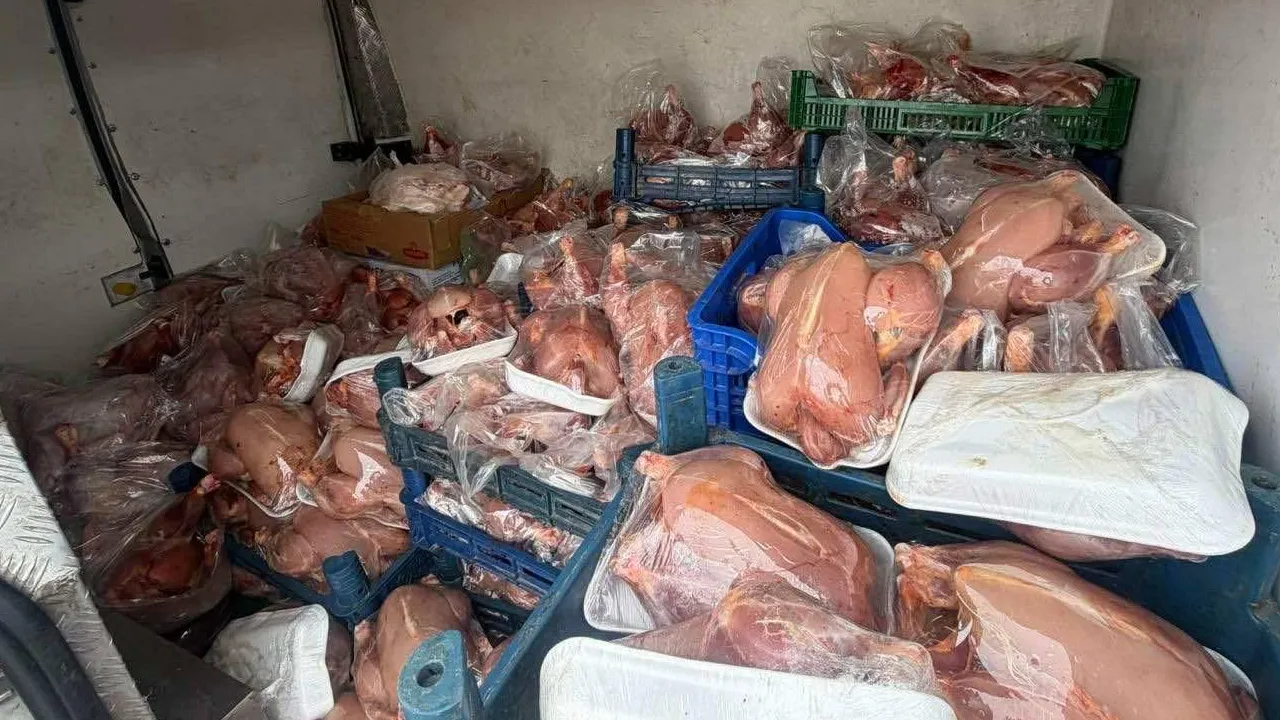 Yüzlerce tavuk ele geçirildi! Sağlık raporu olmadan vatandaşa yedireceklerdi 