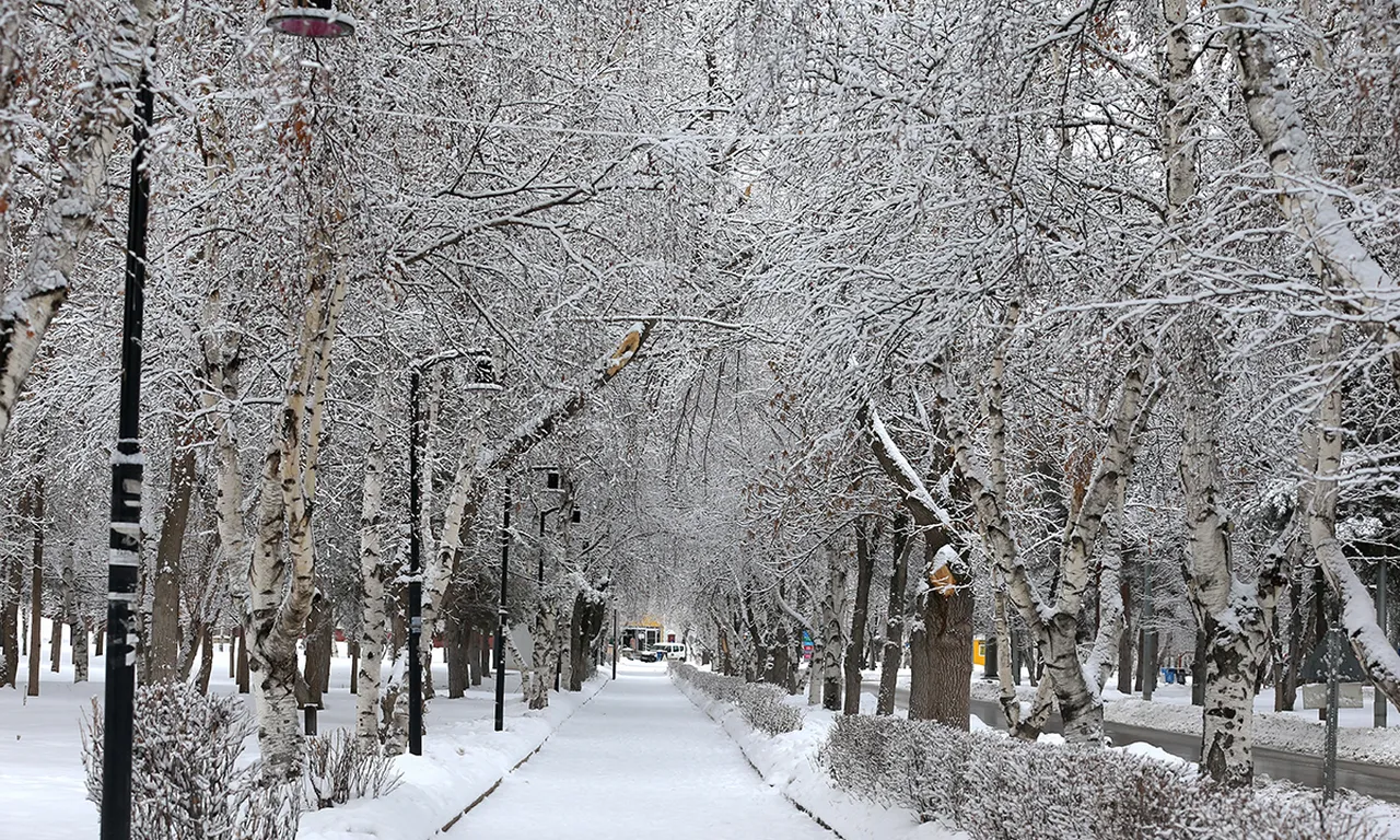 Uzmanlar son raporu paylaştı, kar yeniden başladı! 100'lerce yere ulaşım durdu