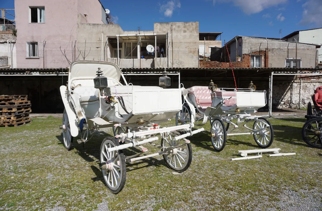 Çırak yetişmiyor, kültür mirası kayboluyor: Faytonculuğun son temsilcileri