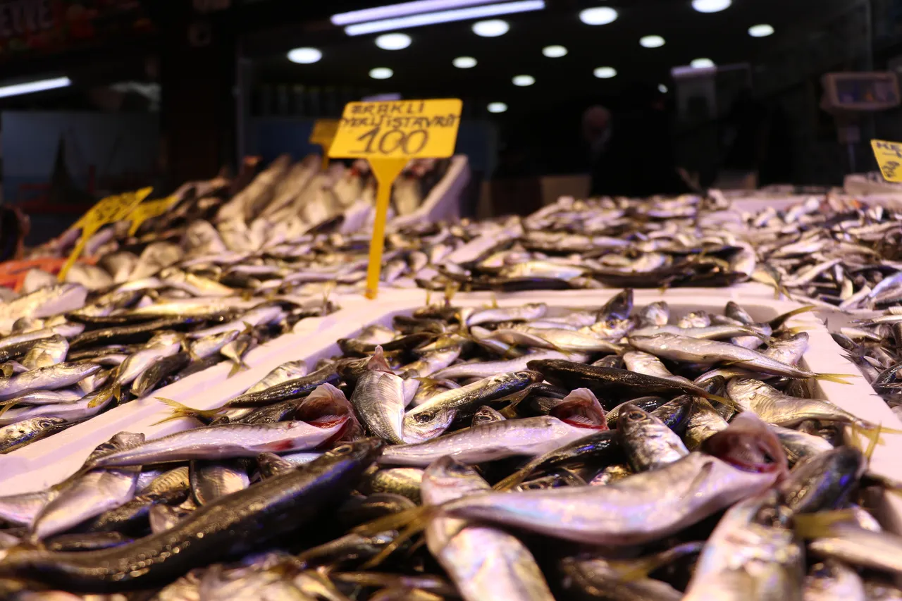 Hamsi yurda dönüş yaptı! Bolluk fiyatlara yansıdı, kilosu bakın kaç lira