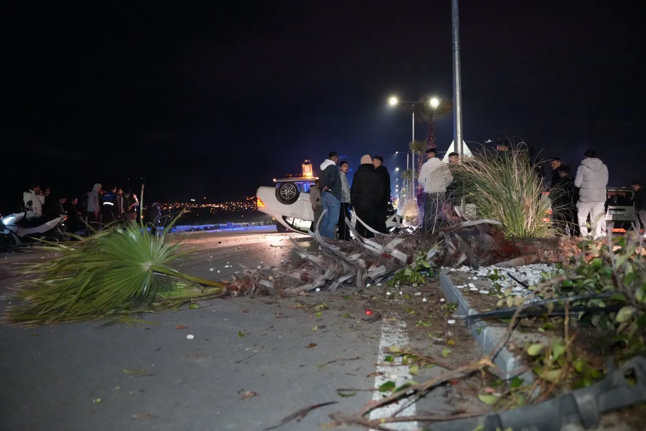 Lüks araçların yarışı dehşetle bitti! Önce ağaca çarptı sonra takla attı