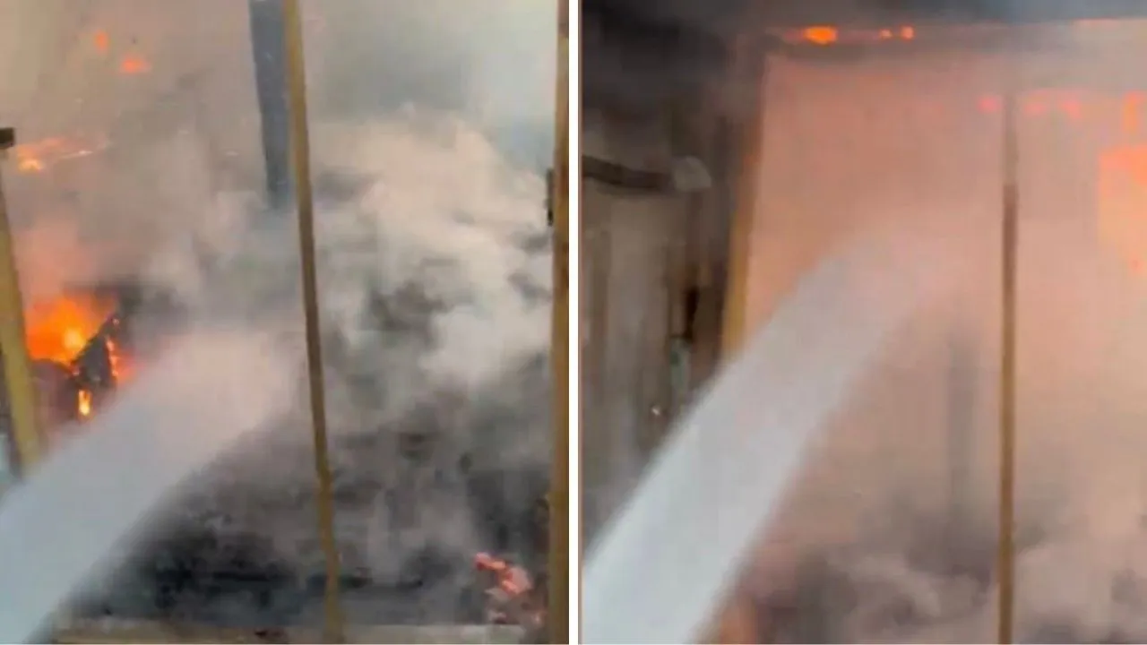 Osmaniye’de çiftlikte yangın! Onlarca hayvan telef oldu