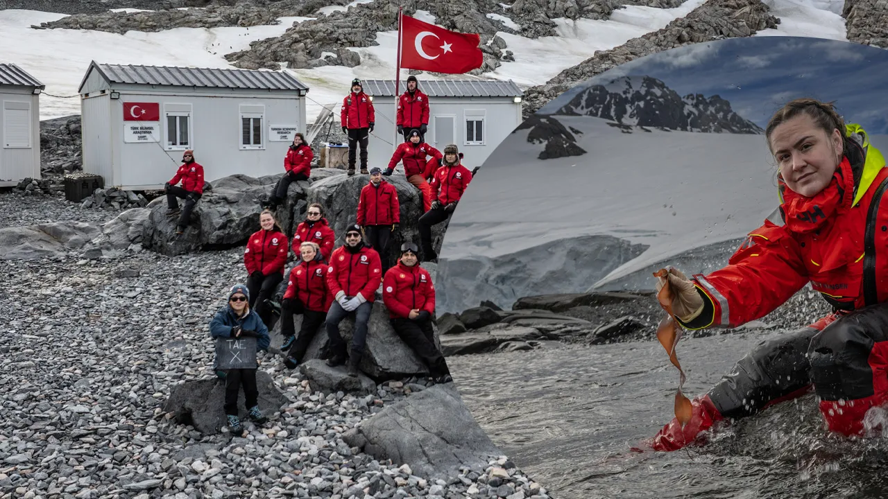 Türk ekibinden çarpıcı araştırma: Antarktika yosunundan virüs ilacı