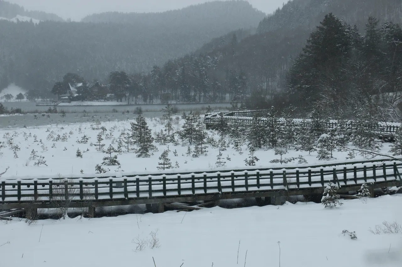 Türkiyenin turizm merkezi Abantta görsel şölen: Kar yağışıyla birlikte kartpostallık görüntüler oluştu