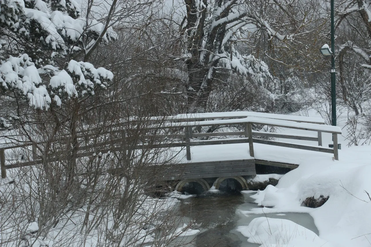 Türkiyenin turizm merkezi Abantta görsel şölen: Kar yağışıyla birlikte kartpostallık görüntüler oluştu