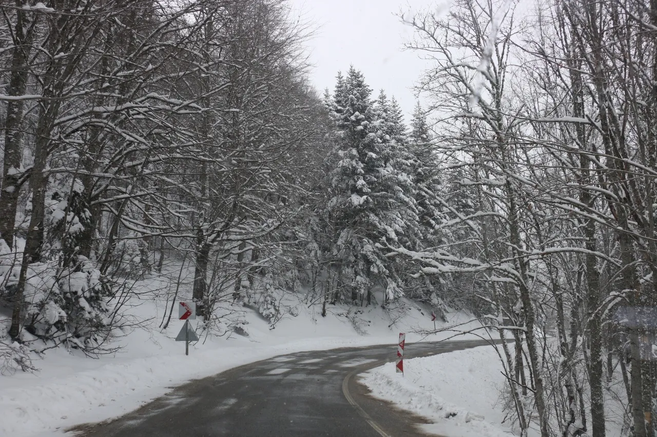 Türkiyenin turizm merkezi Abantta görsel şölen: Kar yağışıyla birlikte kartpostallık görüntüler oluştu