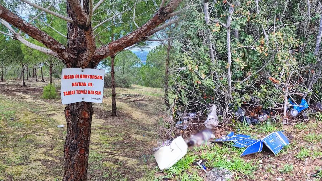 Vatandaşın ağaca astığı not da işe yaramadı! Ormanlık alan çöplüğe döndü