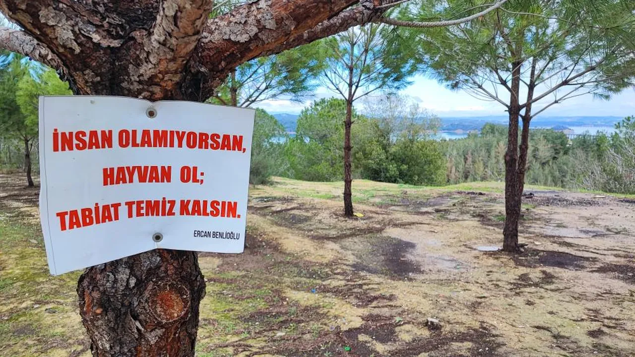 Vatandaşın ağaca astığı not da işe yaramadı! Ormanlık alan çöplüğe döndü