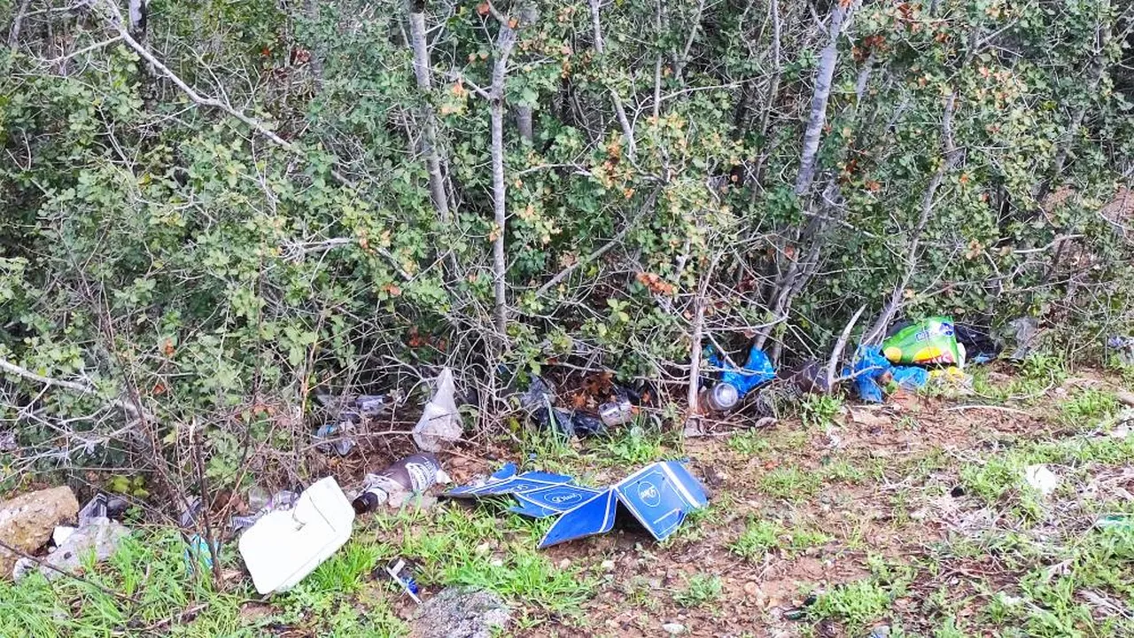 Vatandaşın ağaca astığı not da işe yaramadı! Ormanlık alan çöplüğe döndü