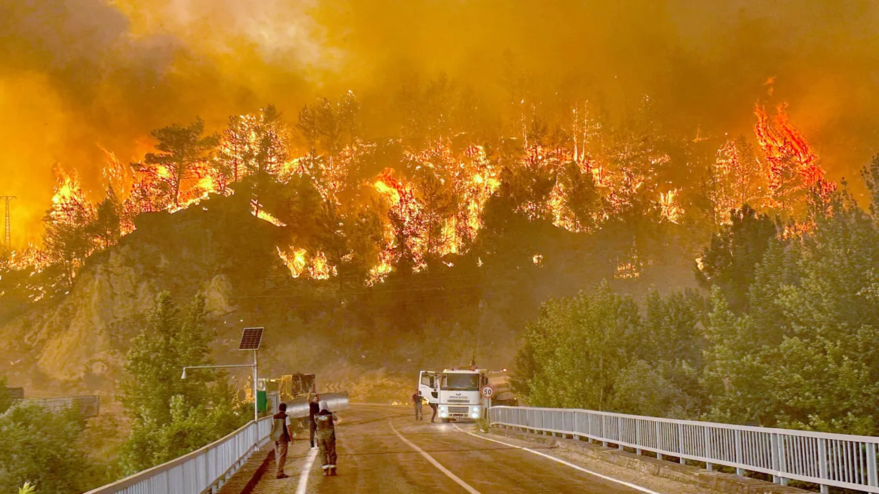 Antalya'da orman yangınlarına karşı "acil kod" planı devreye giriyor! İmam, öğretmen ve muhtarlar sisteme dahil edildi