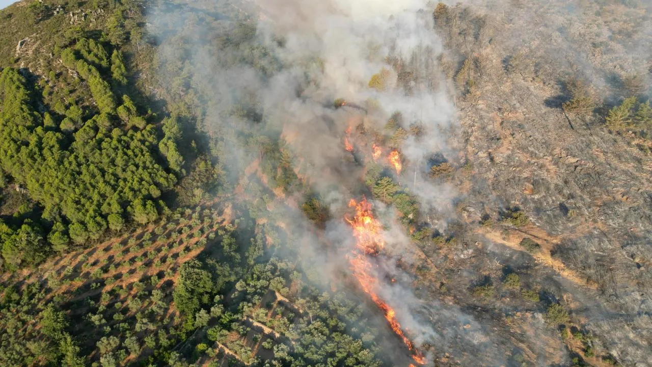 Antalya'da orman yangınlarına karşı "acil kod" planı devreye giriyor! İmam, öğretmen ve muhtarlar sisteme dahil edildi