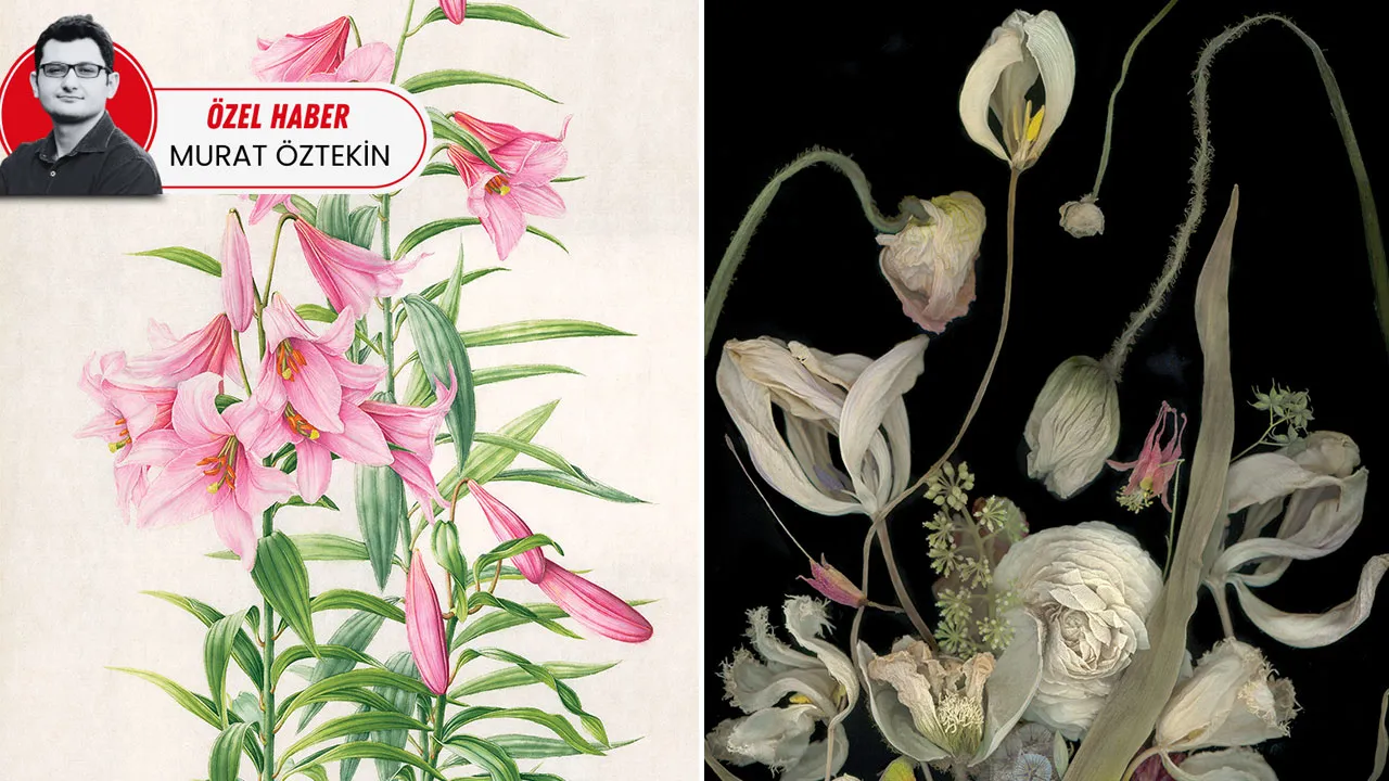 Asıl sanat tabiatta! Galeride çiçek açtı