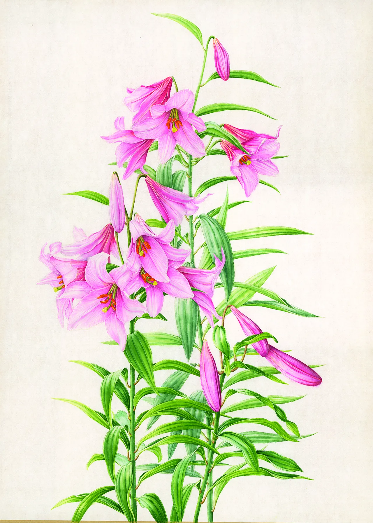 Annette Louise Solakoğlu ile Işık Güner’in eserleri dikkati çekiyor.