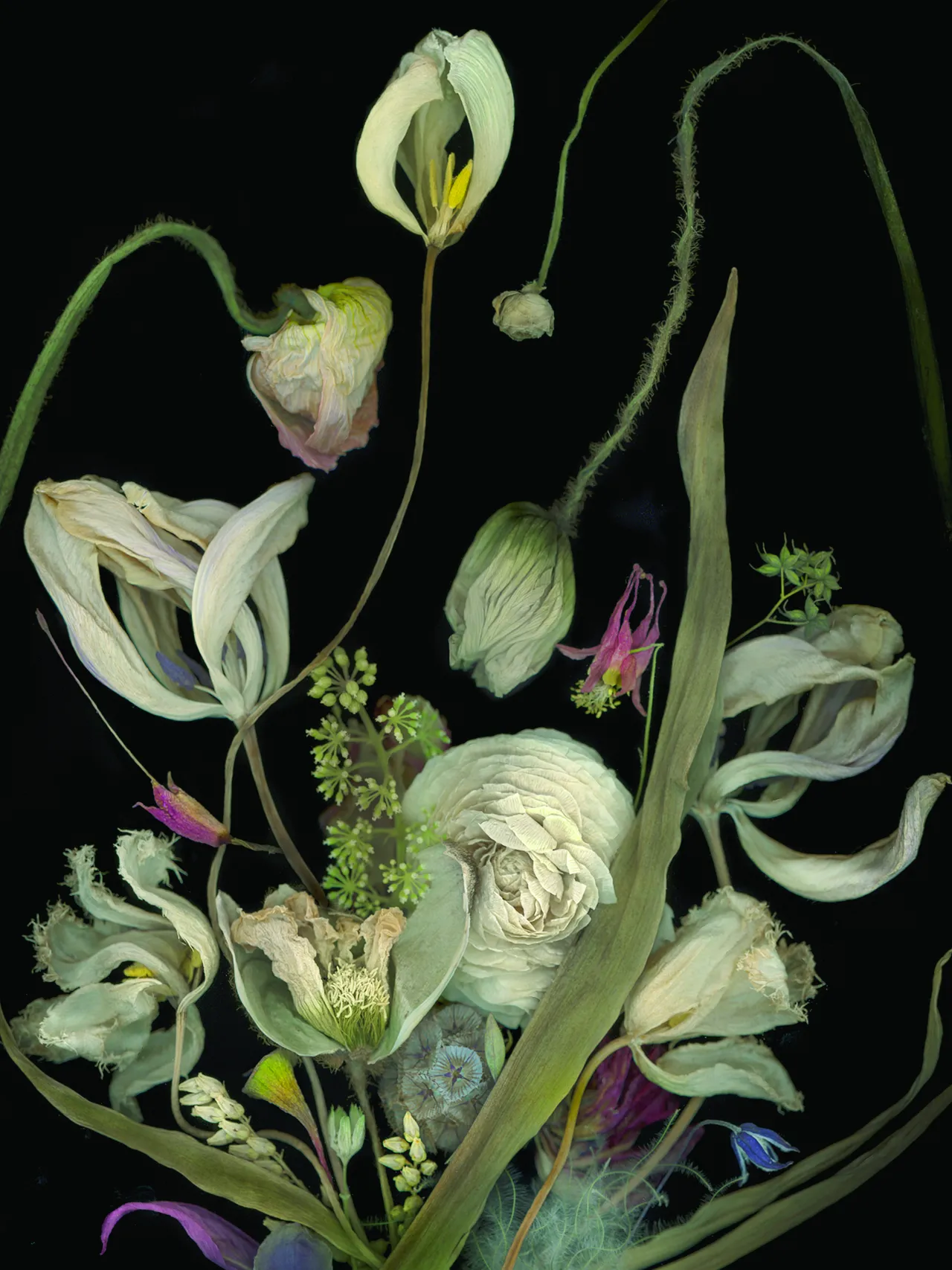 Annette Louise Solakoğlu ile Işık Güner’in eserleri dikkati çekiyor.