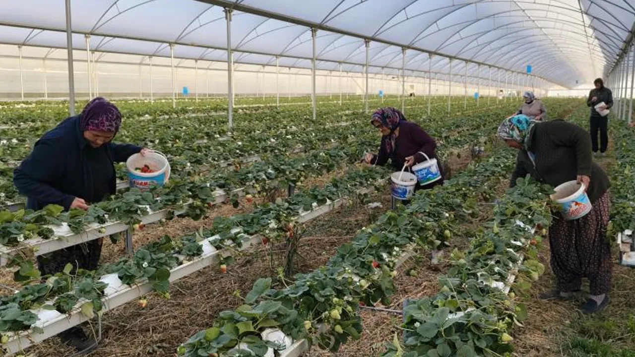 ARTIK DÜNYA TANIYOR