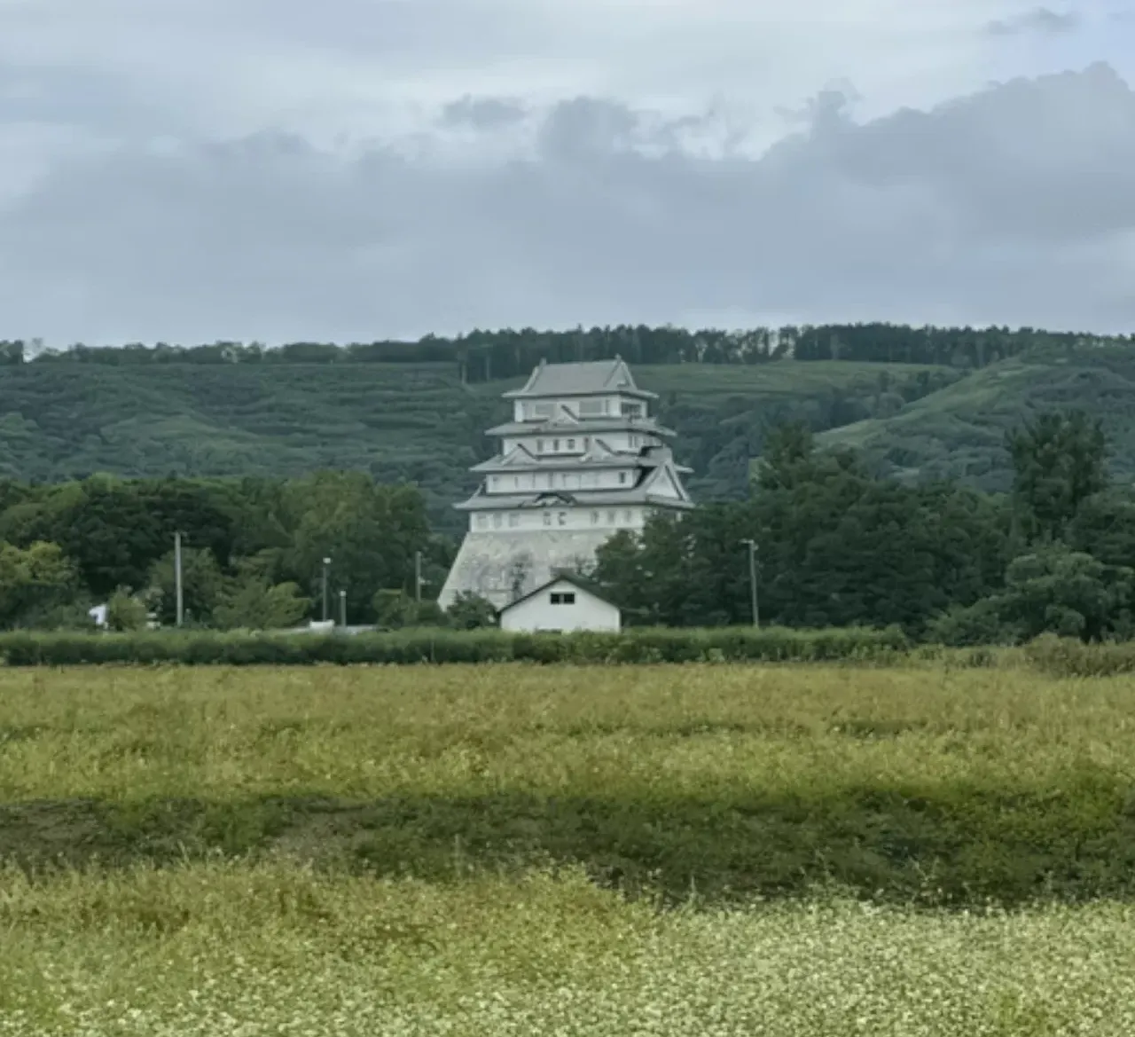 Japonyadaki 6 katlı kale, İstanbulda 1+1 fiyatına satılıyor