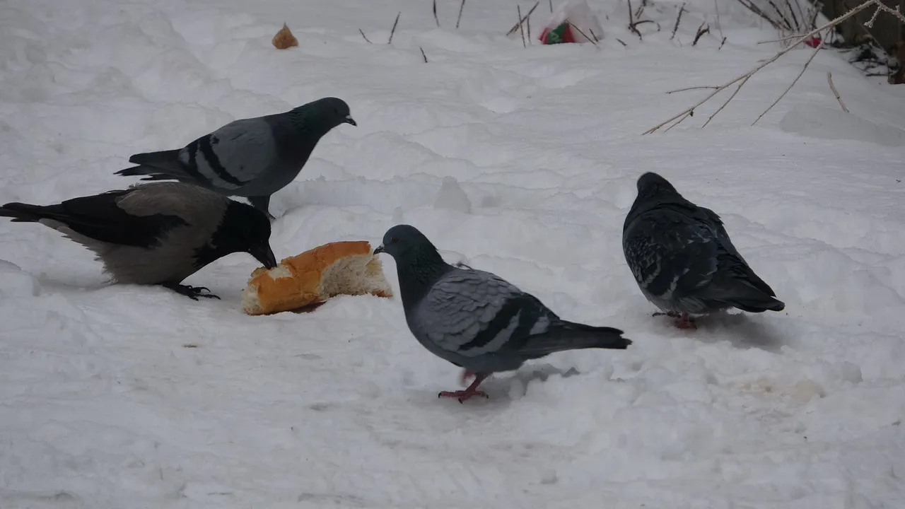 Termometreler eksi 24,5i gösterdi! işte Türkiyenin en soğuk ili