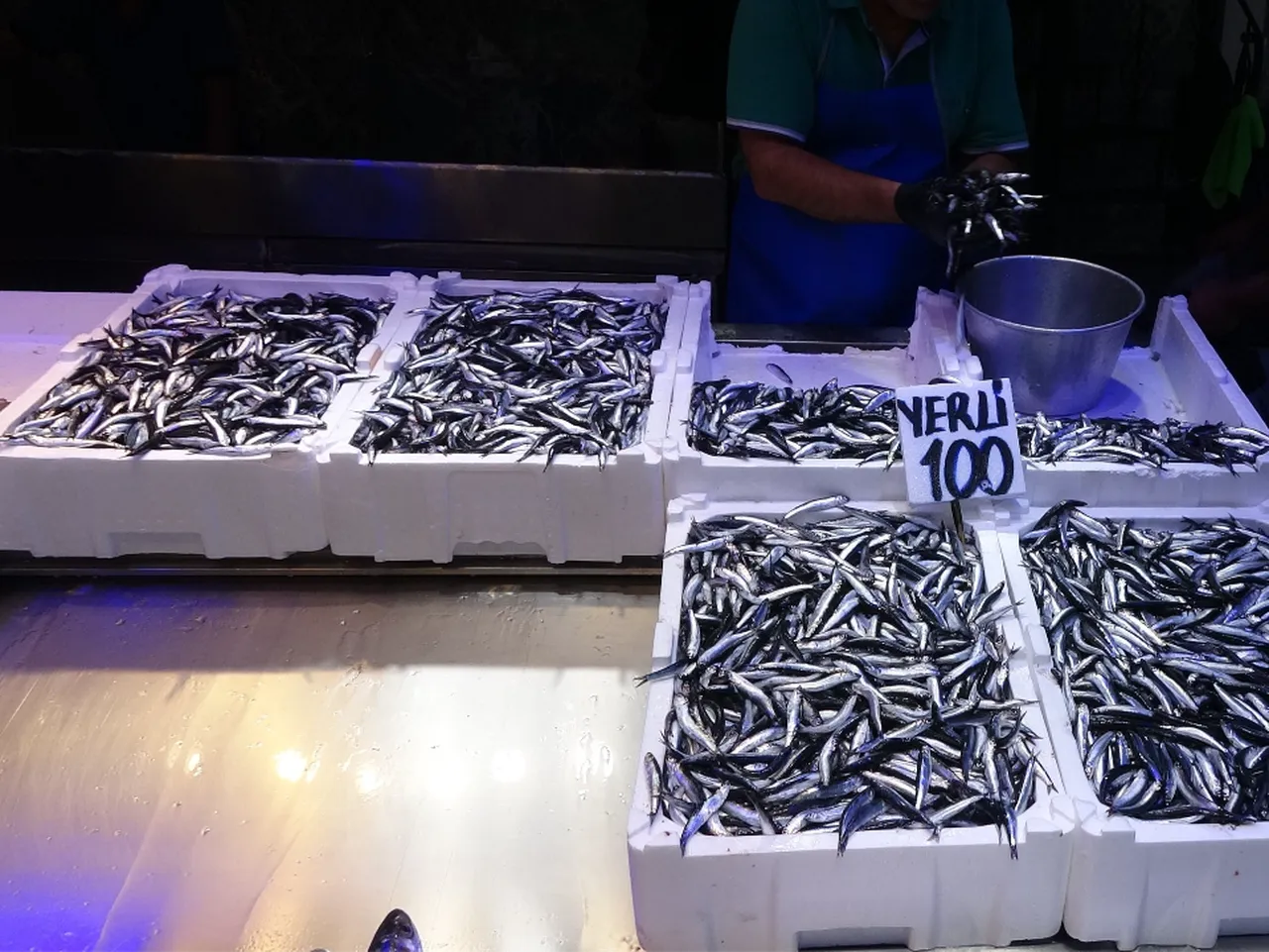 Türkiye'den 2 ayda 2.7 milyar dolarlık hamsi ihracatı! En fazla savaşın sürdüğü ülkeye sattık