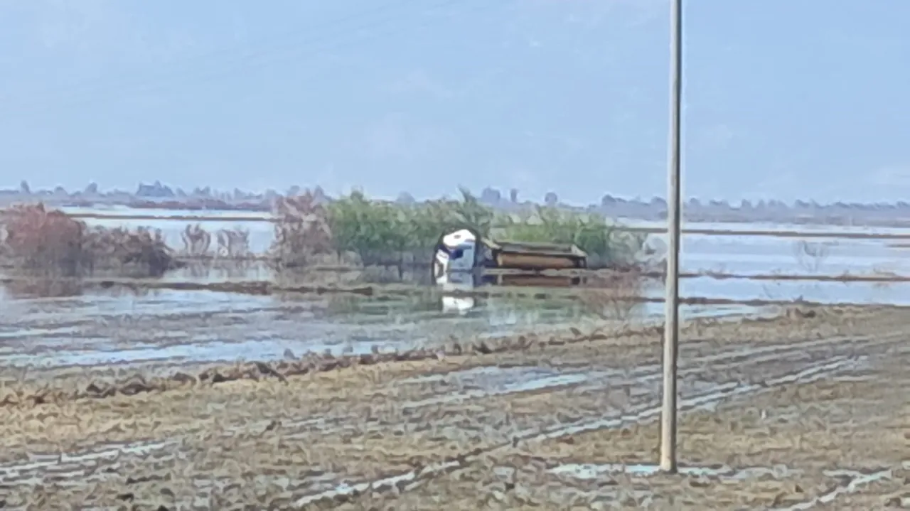 Suda mahsur kalan sürücü ölümle burun buruna geldi